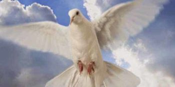 Mensagem de Paz – Restaurar a Paz Interior Com o Espírito Santo