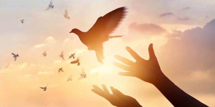 São 7 os dons do Espírito Santo que podem transformar a sua vida