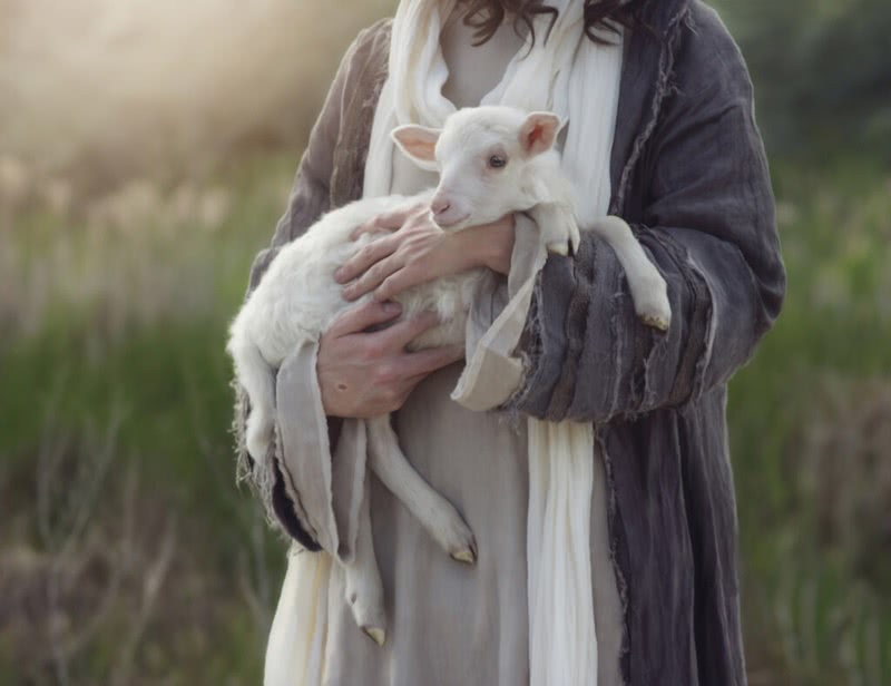 Salmos 23:1-6 O SENHOR é o meu pastor; de nada terei falta. Ele me faz  repousar em pastagens verdejantes e me conduz a águas tranquilas;  restaura-me o vigor. Guia-me pelas veredas da