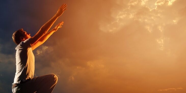 Criatura e criador: como criar uma relação harmoniosa?