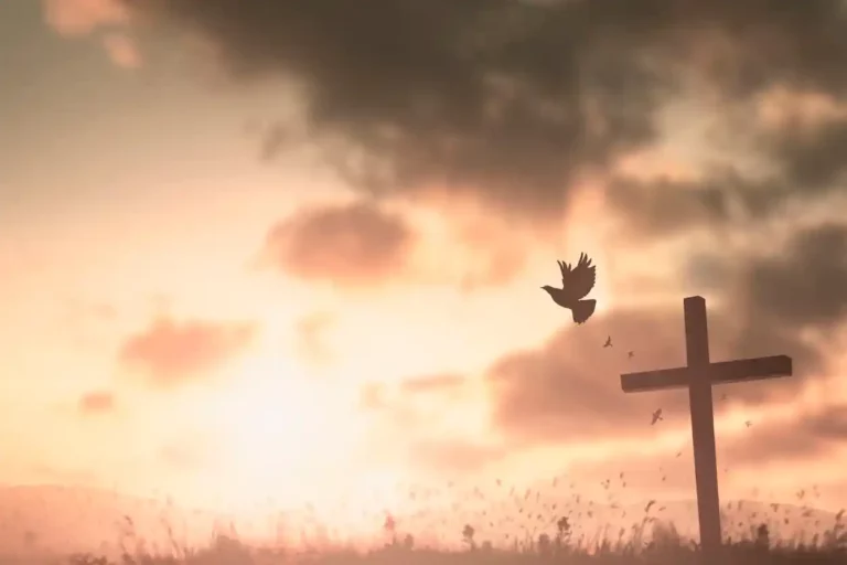 João 11:25 – Eu sou a ressurreição e a vida