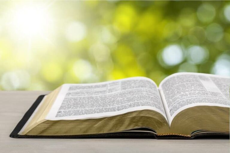 Melhores Planos de leitura da Bíblia