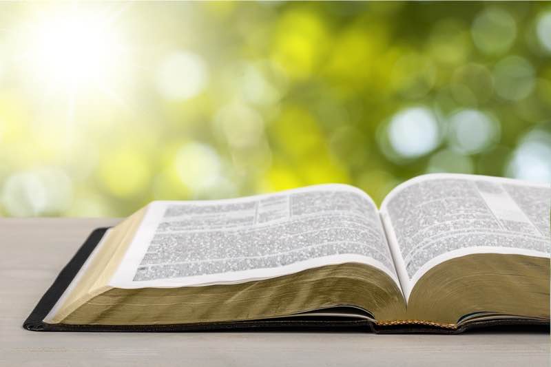 plano - Melhores Planos de leitura da Bíblia