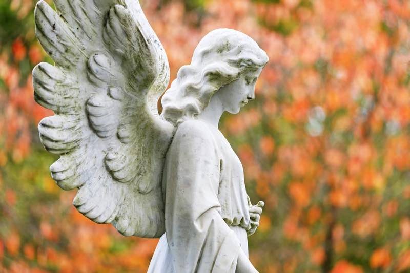 anj - Como o anjo da guarda nos protege?